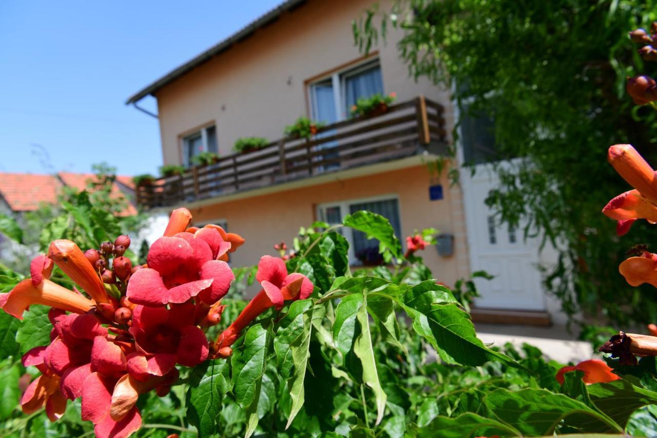 Apartman Dorijan Раковица Экстерьер фото