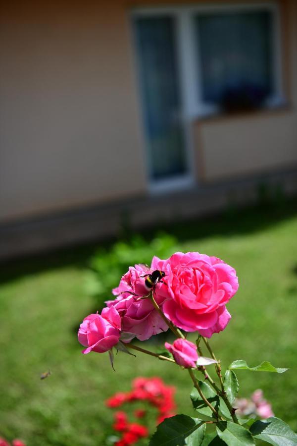 Apartman Dorijan Раковица Экстерьер фото